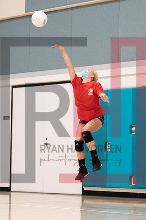 Redwood MS VBall-83