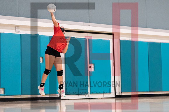 Redwood MS VBall-172
