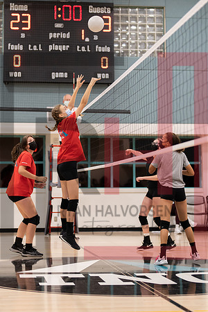Redwood MS VBall-158