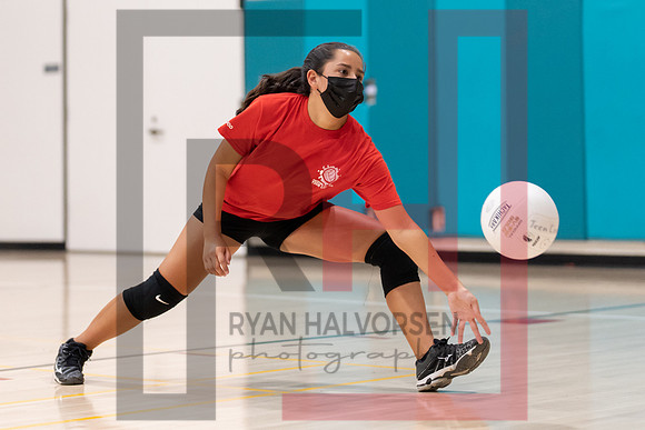 Redwood MS VBall-6
