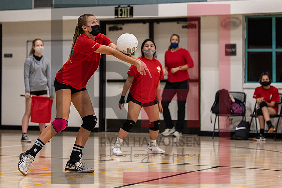 Redwood MS VBall-164
