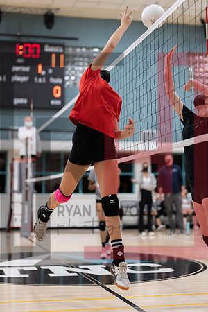Redwood MS VBall-118