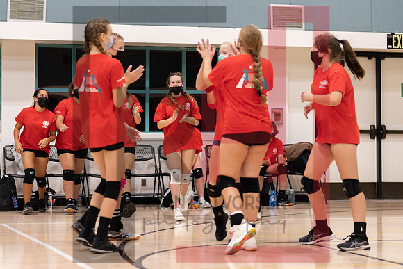 Redwood MS VBall-33