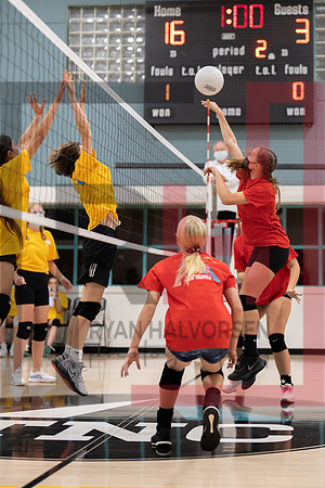 Redwood MS VBall-63