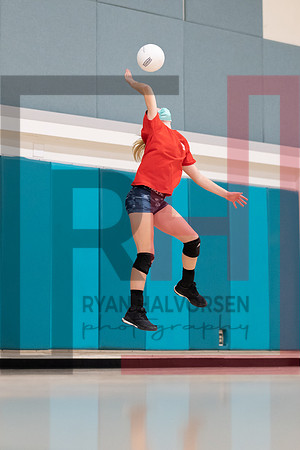 Redwood MS VBall-181