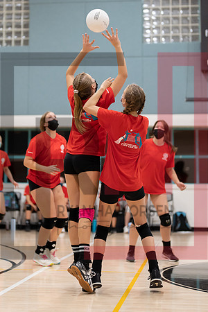 Redwood MS VBall-145