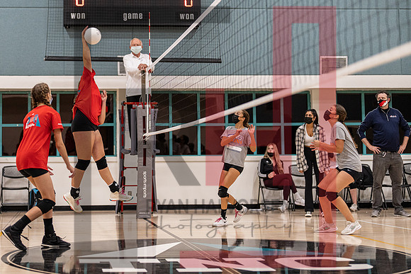 Redwood MS VBall-134