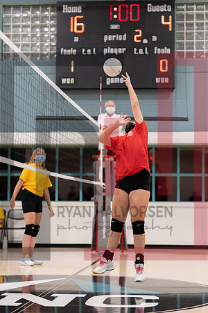 Redwood MS VBall-66