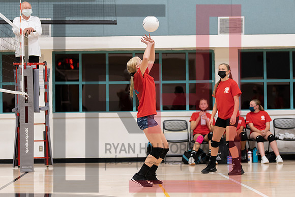 Redwood MS VBall-69