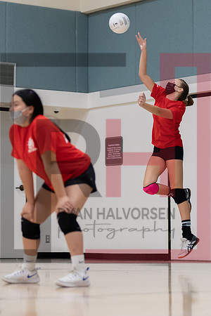 Redwood MS VBall-40