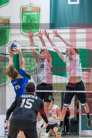 TOHS v Agoura VBall 6712