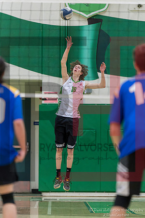 TOHS v Agoura VBall 6759