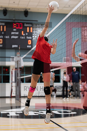 Redwood MS VBall-115
