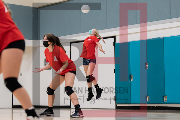 Redwood MS VBall-29