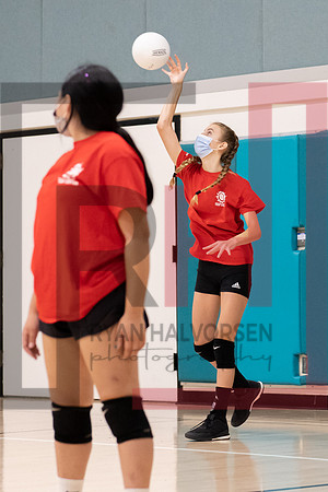 Redwood MS VBall-26