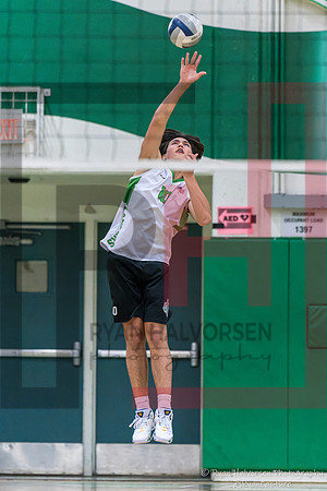 TOHS v Agoura VBall 6694