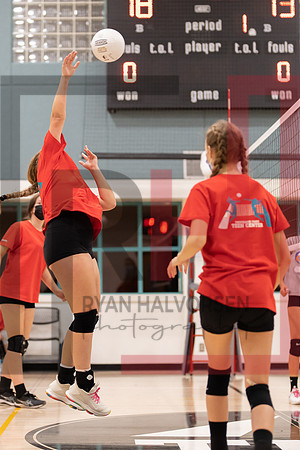 Redwood MS VBall-142