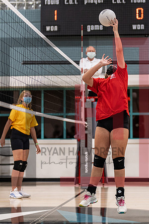 Redwood MS VBall-65