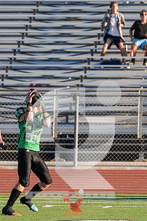 RJH06495