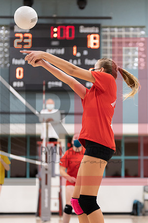 Redwood MS VBall-27
