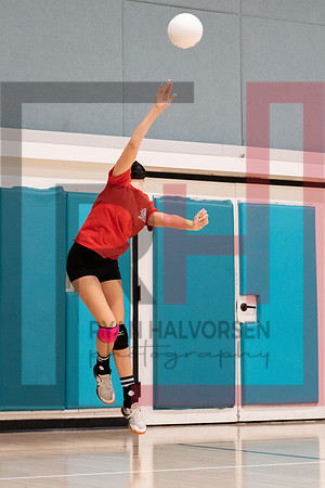 Redwood MS VBall-99