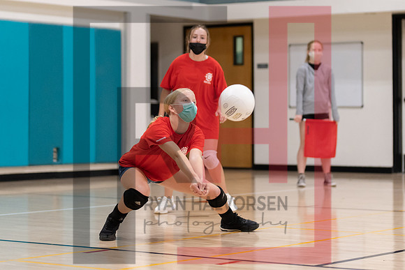 Redwood MS VBall-127