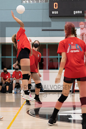 Redwood MS VBall-149
