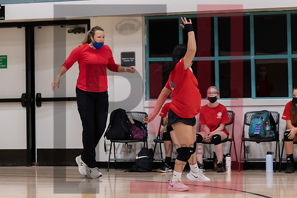 Redwood MS VBall-162